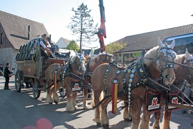 «MyExpo 2017» in Magden